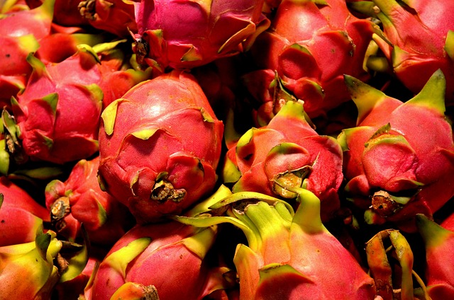 Benefícios da Pitaya